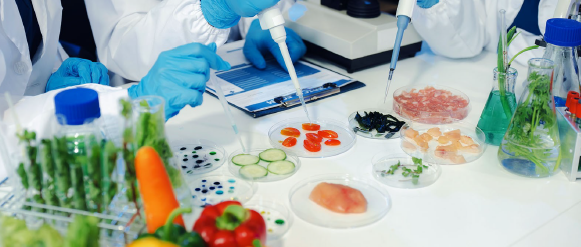 Microbiologia Alimentar Prática - do Meio de Cultura ao Resultado